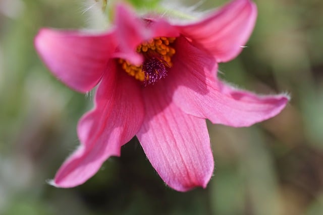 U‑Haul Pricing: How Much Does It Really Cost 