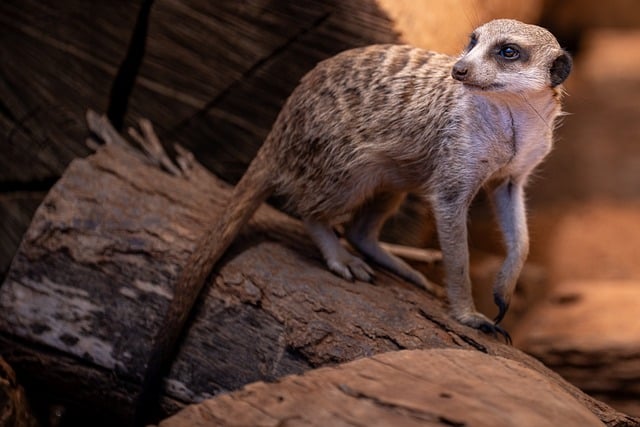 How Much Does DoorDash Cost  A Complete Pricing Guide