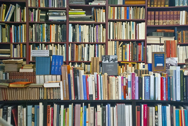 How to Write an Effective Annotated Bibliography