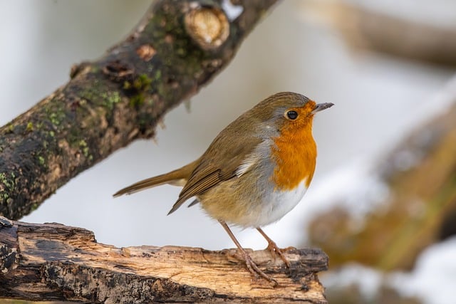 How Much Does Breast Reduction Cost  A Comprehensive Guide