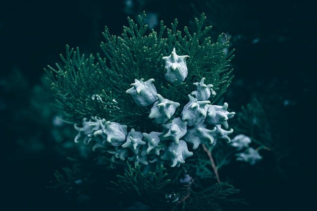 How to Find the Volume of a Cone: A Step‑by‑Step Guide