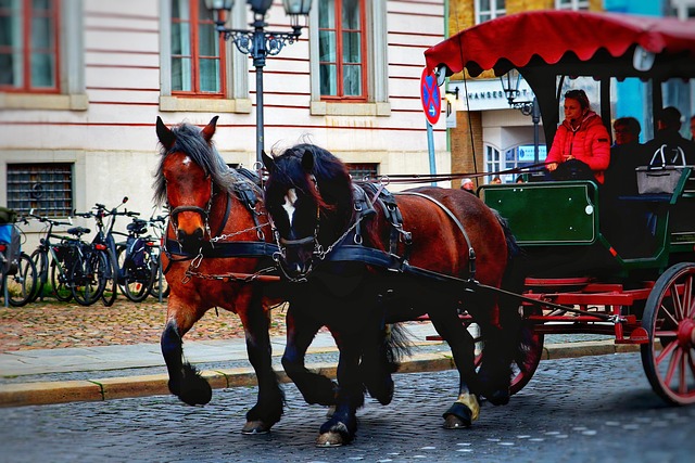 How to Watch the NFL Draft Live: Your Complete Guide