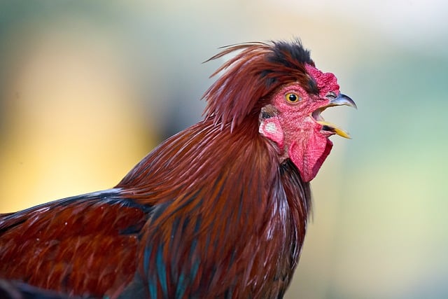 Eye Exam Cost: What You Need to Know in 2026