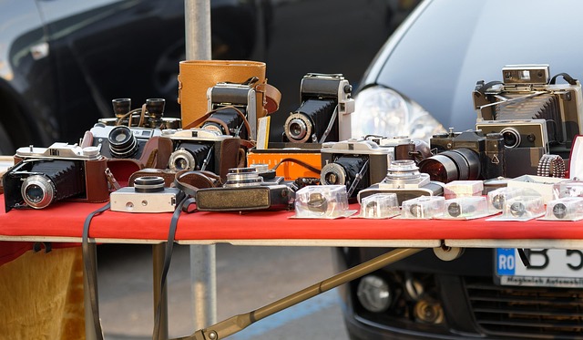 How to Remove Fleas: Proven Methods for a Flea‑Free Home