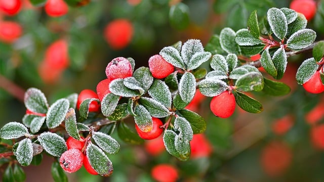 How to Freeze Your Credit: A Step‑by‑Step Guide