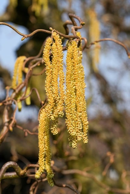 Mastering New Skills: A Practical Guide to Continuous Growth