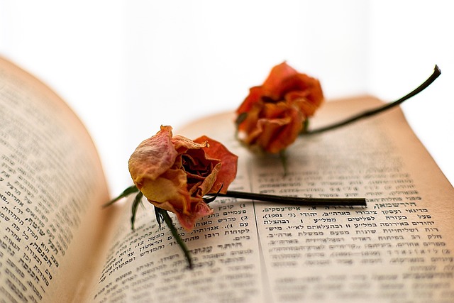 Learn Hebrew: A Practical Guide for Beginners