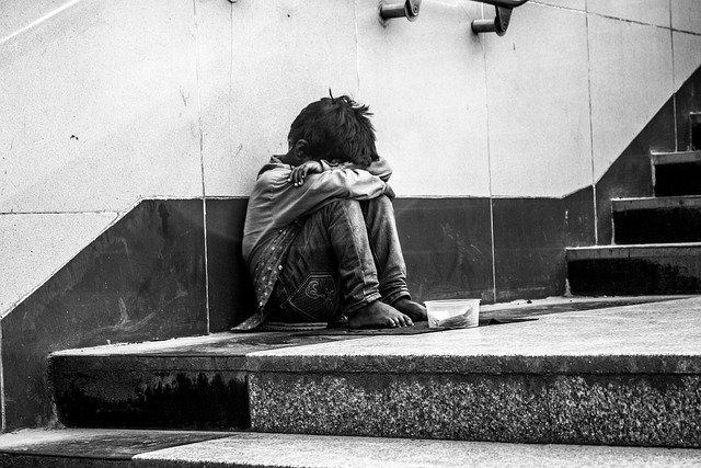 How Many Homeless People Are in America  Current Statistics and Trends
