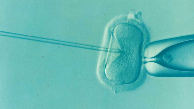 How Much Does In Vitro Fertilization (IVF) Cost  A Comprehensive Guide