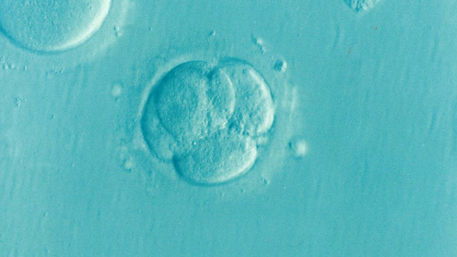 How Much Does IVF Cost  A Comprehensive Guide for 2024