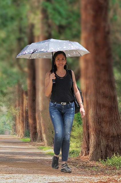 Learn Latin for Free: Your Complete Guide