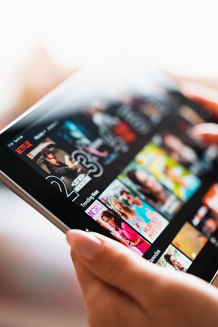 How Much Does a Netflix Subscription Cost in 2024 