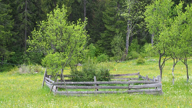 How to Find the Perimeter: A Simple Guide with Tile Examples