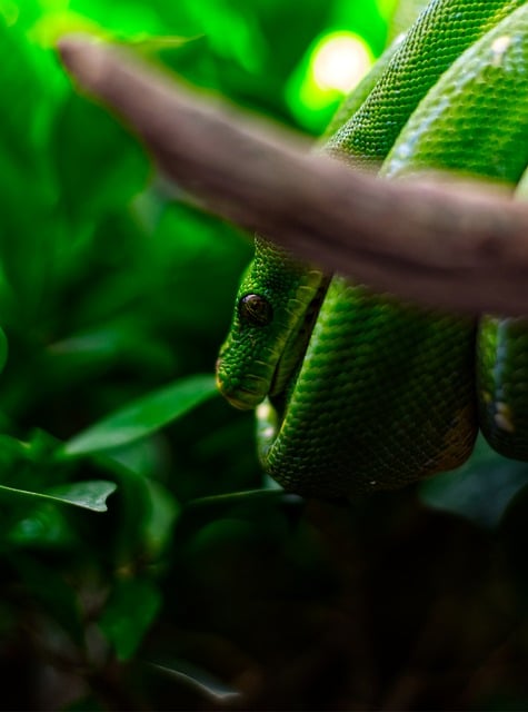 Learn Python in 30 Minutes: A Rapid Crash Course