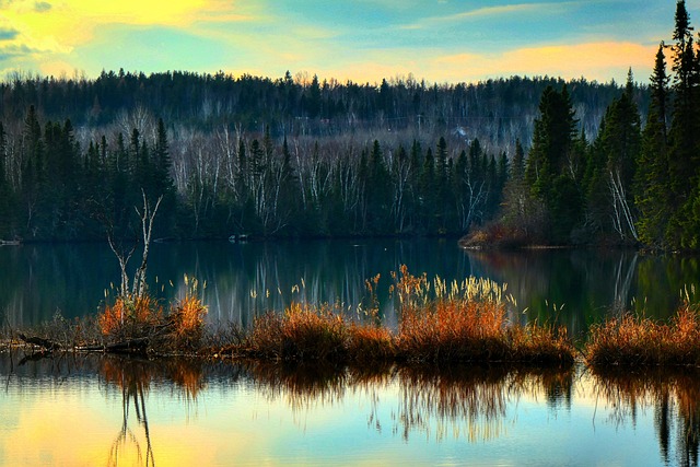 Learn Quebec French: Your Guide to the Unique Canadian Dialect