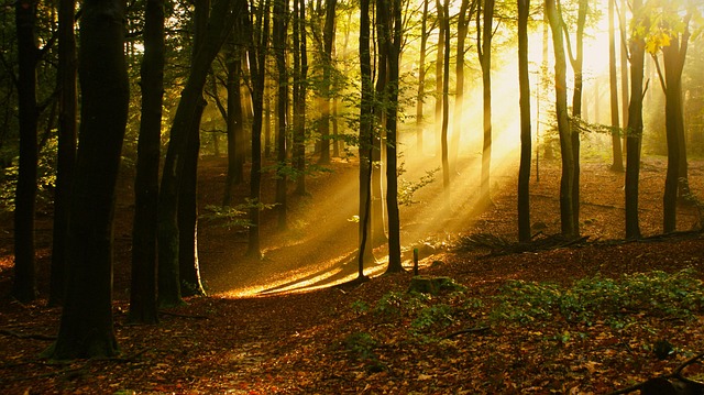 How to Find the Slope of a Line: A Step‑by‑Step Guide