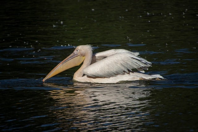 How Much Does a Water Softener Cost  A Complete Pricing Guide