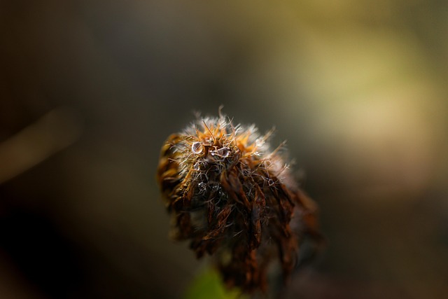 Stop Smoking Weed: A Practical Guide to Quit Marijuana