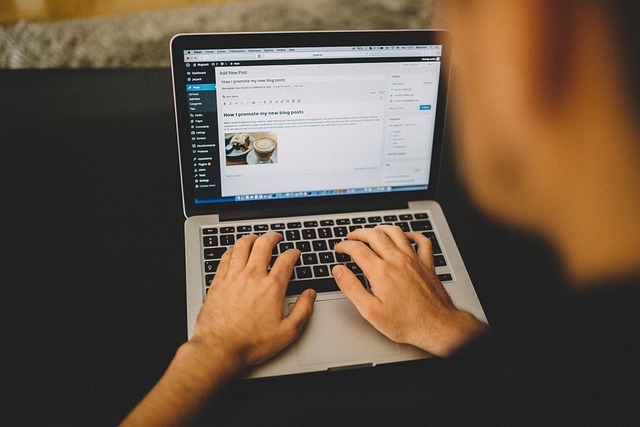 Learn WordPress: A Beginner’s Guide to Building Your First Website