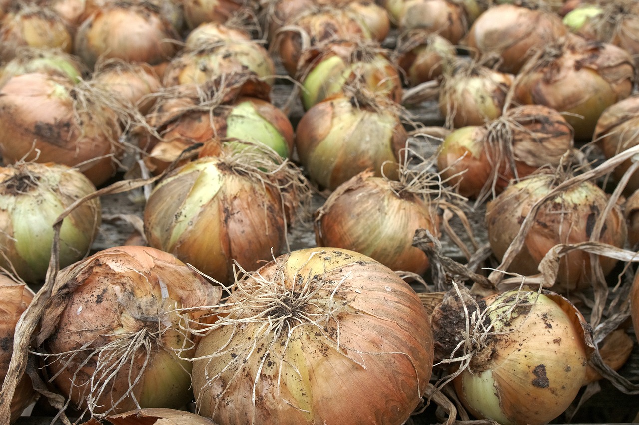 Onion Storage Hacks: Discover the Best Way to Store Onions